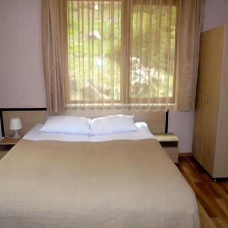 Ивелия Къща За Гости Dospat Habitación foto