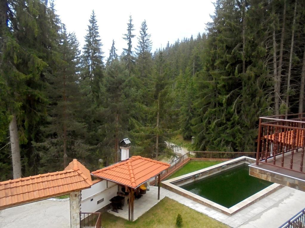 Ивелия Къща За Гости Dospat Habitación foto